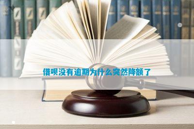 金年会- 金年会体育 注册即送88元- 官方网站信用卡不存在逾期为什么突然降额了